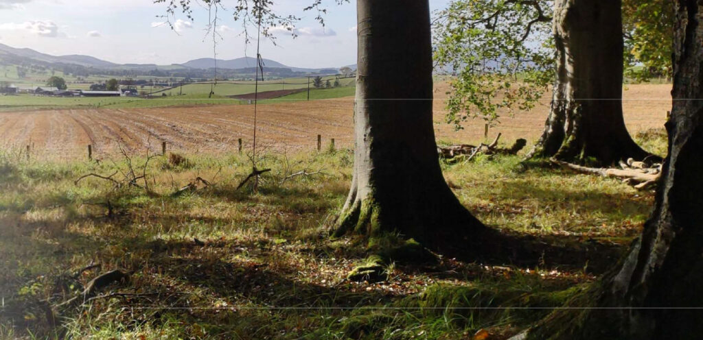 Image of the Old Drove Road