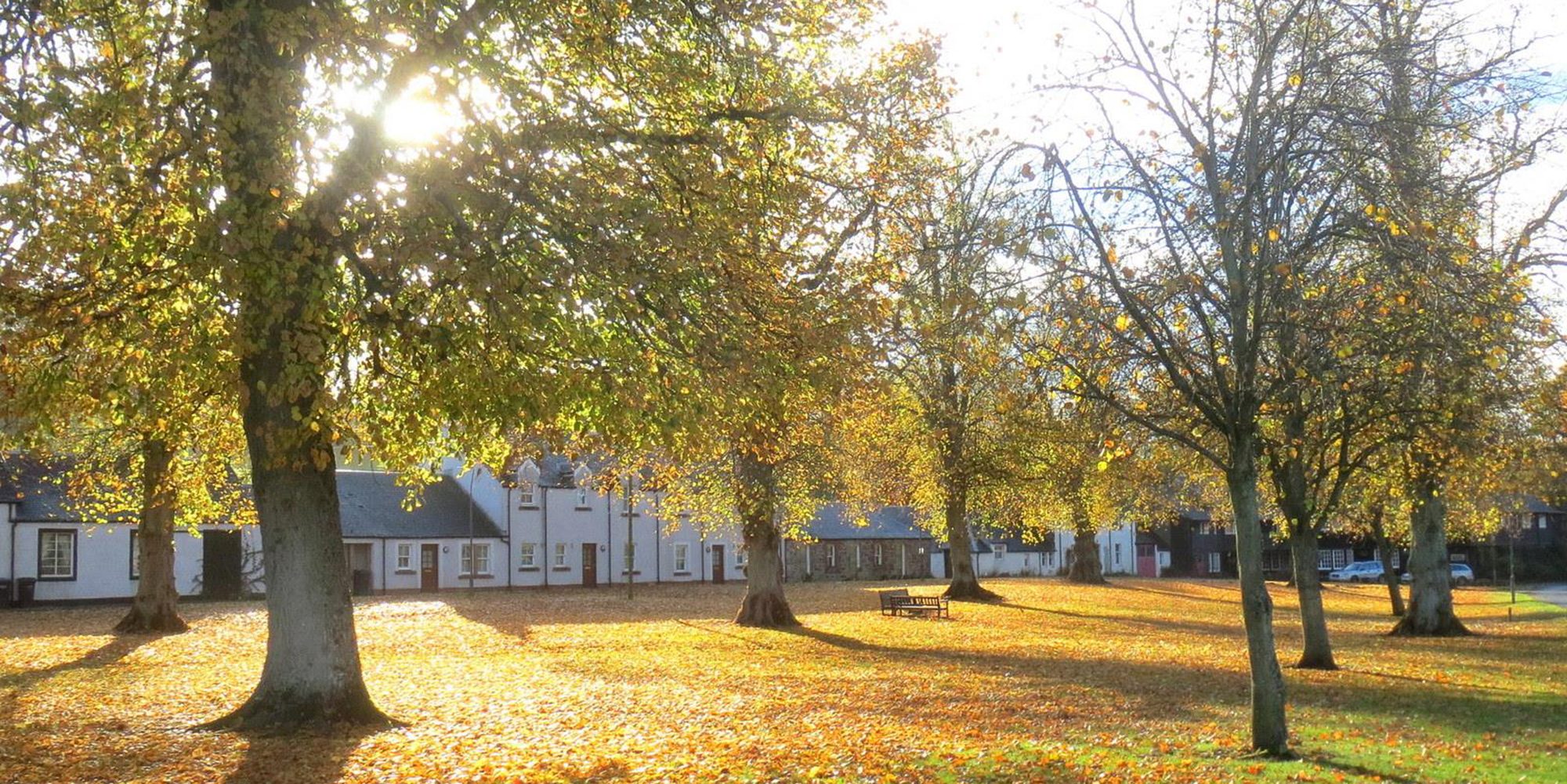 Skirling Village Green